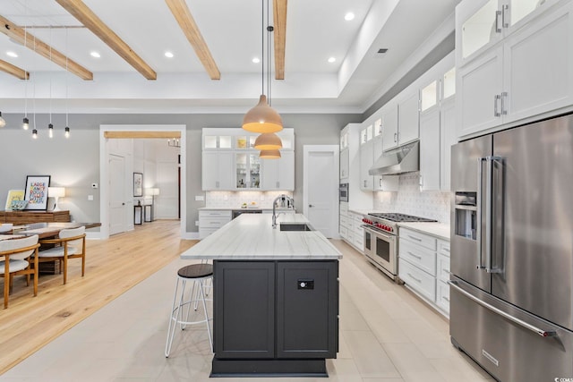 kitchen featuring under cabinet range hood, a sink, white cabinetry, tasteful backsplash, and high end appliances