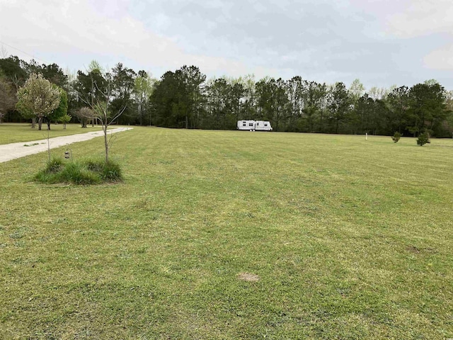 TBD Volunteer Dr, Loris SC, 29569 land for sale