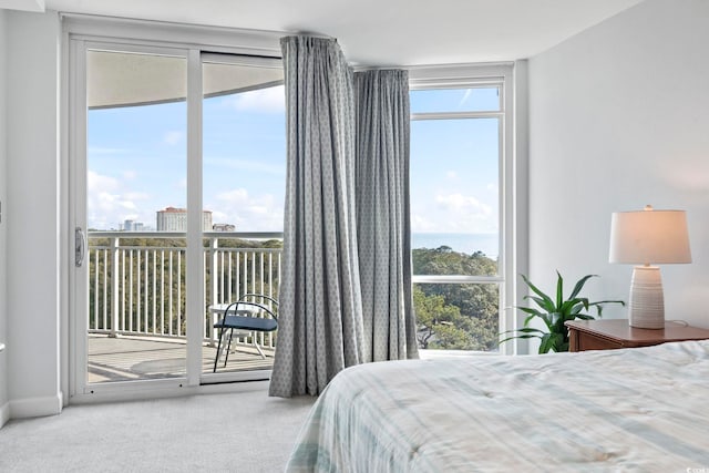 carpeted bedroom with access to outside and multiple windows