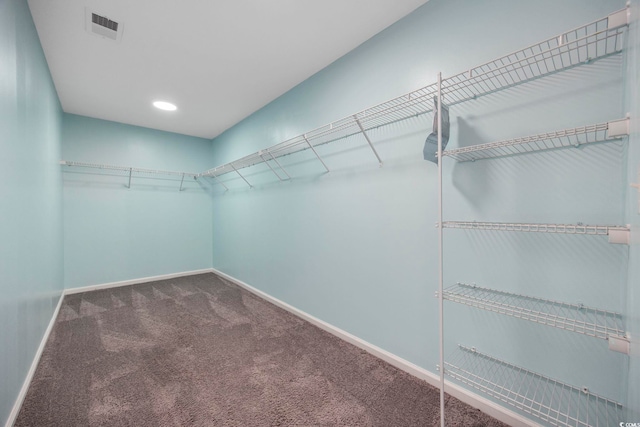 walk in closet featuring carpet and visible vents