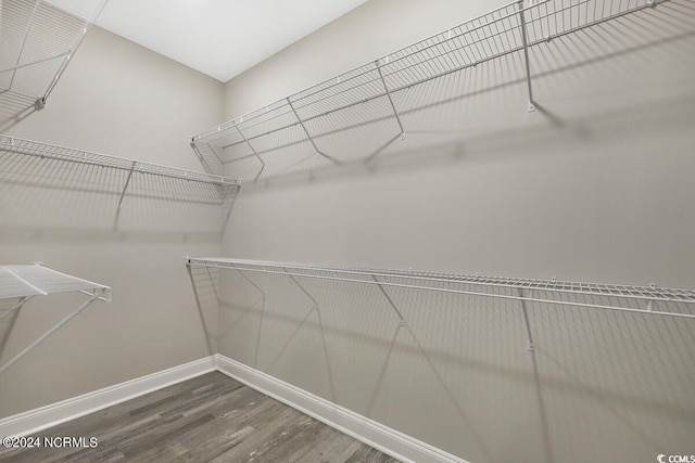 spacious closet featuring wood finished floors