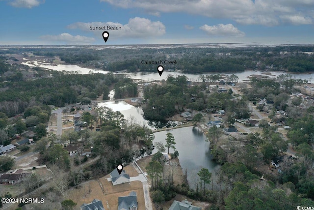 aerial view with a water view and a view of trees