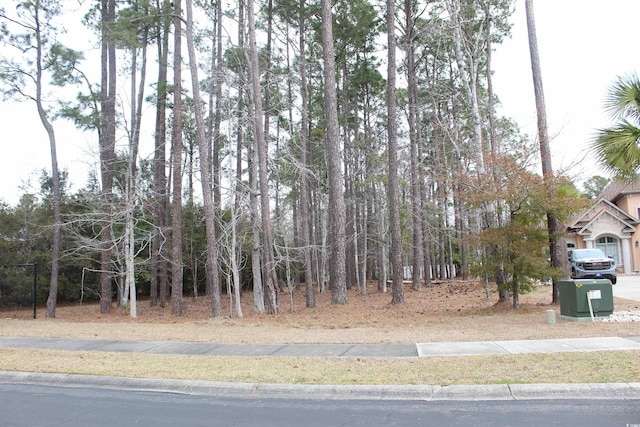 Listing photo 3 for 4001 Blackwood Ct, Myrtle Beach SC 29588