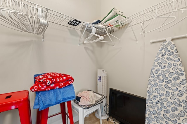 view of walk in closet