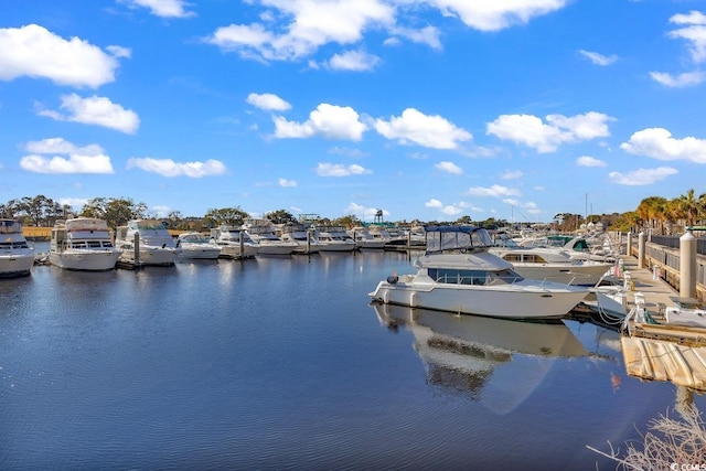 view of dock featuring a water view