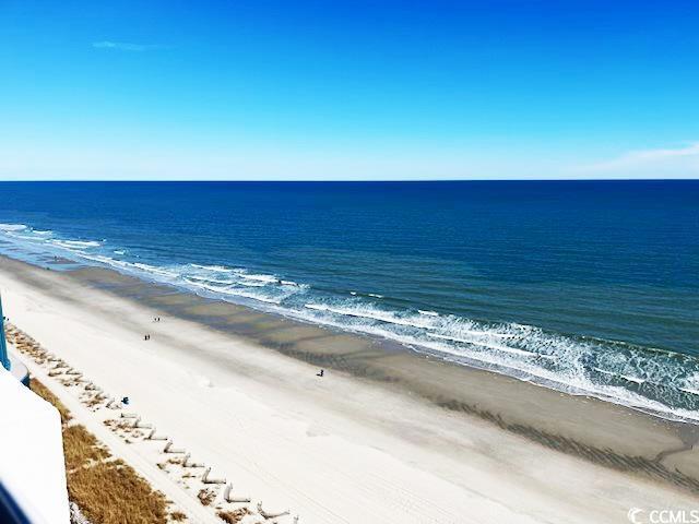 view of water feature with a beach view