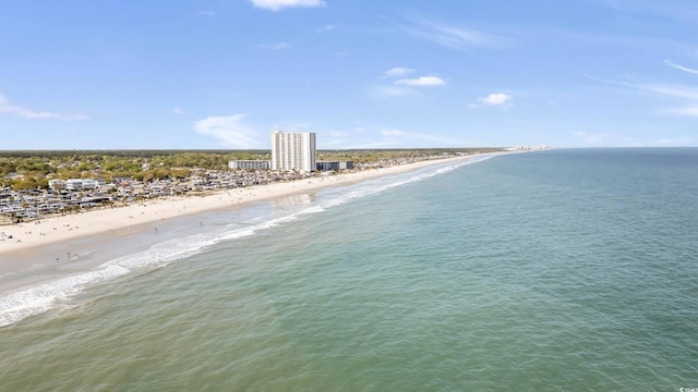 water view featuring a beach view