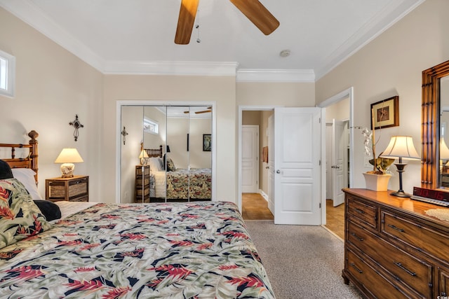 carpeted bedroom featuring ceiling fan, ornamental molding, and a closet