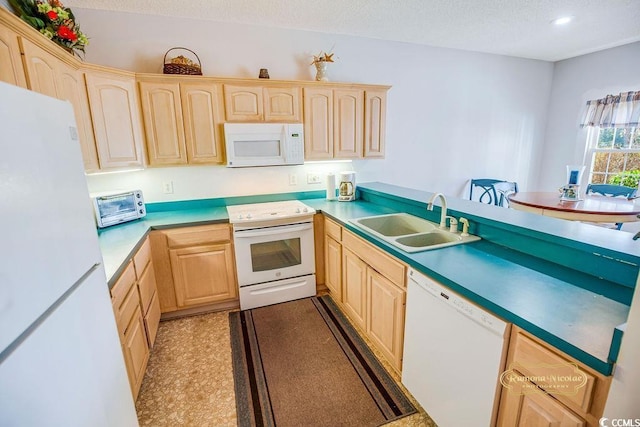 kitchen with white appliances, a toaster, a textured ceiling, light brown cabinetry, and a sink