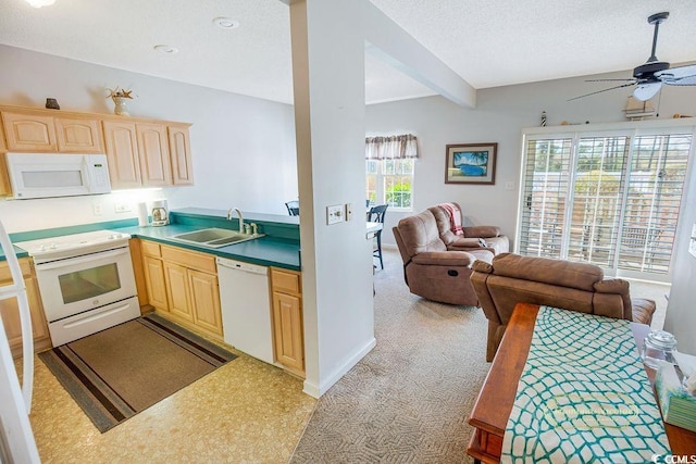 kitchen featuring white appliances, open floor plan, a textured ceiling, light brown cabinetry, and a sink