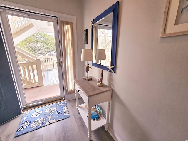 entryway featuring wood finished floors