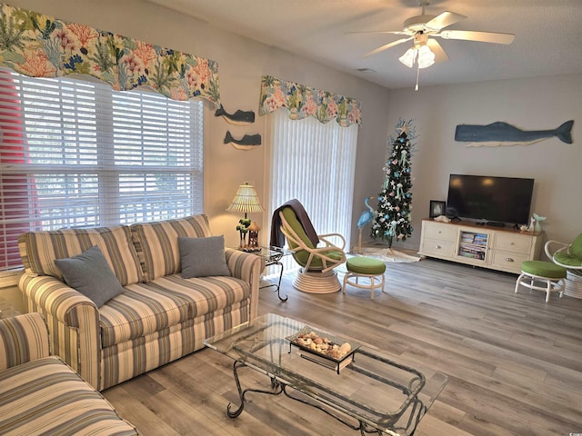 bedroom with a textured ceiling, ceiling fan, wood finished floors, baseboards, and a closet