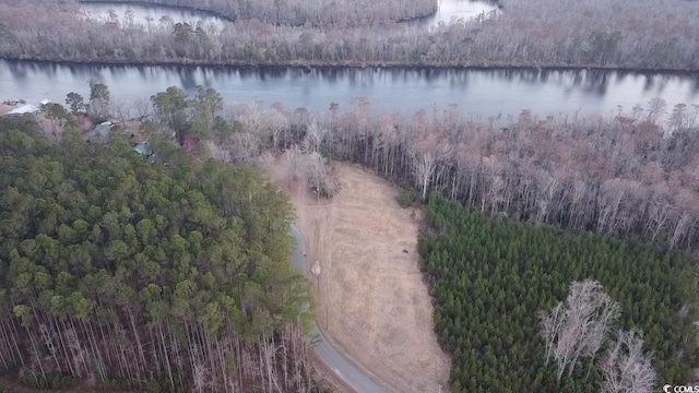 TBD Comanche Dr, Georgetown SC, 29440 land for sale