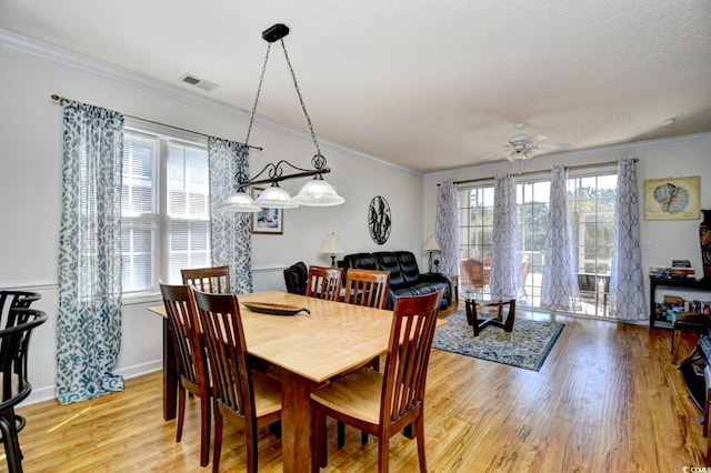 dining area featuring visible vents, ceiling fan, ornamental molding, a textured ceiling, and light wood-style floors