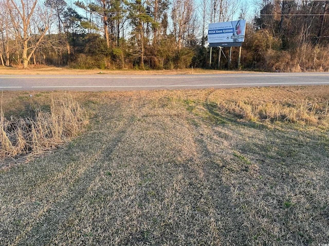 Listing photo 3 for TBD S Joe Brown Hwy, Tabor City NC 28463