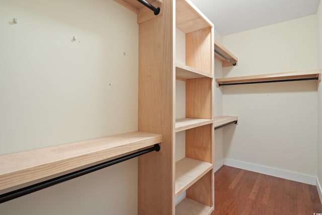 spacious closet featuring wood finished floors