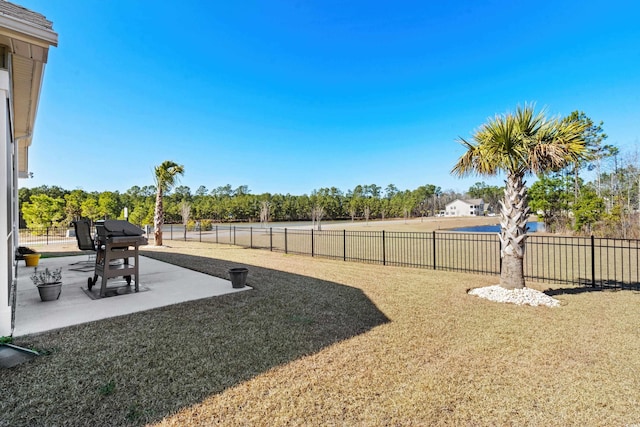 view of yard with a patio area and a fenced backyard