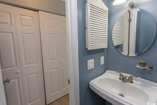 bathroom featuring a closet and a sink