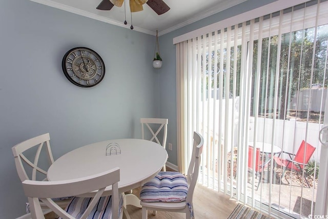 dining space featuring ceiling fan, wood finished floors, and crown molding