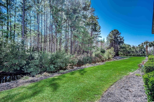 view of yard with a wooded view