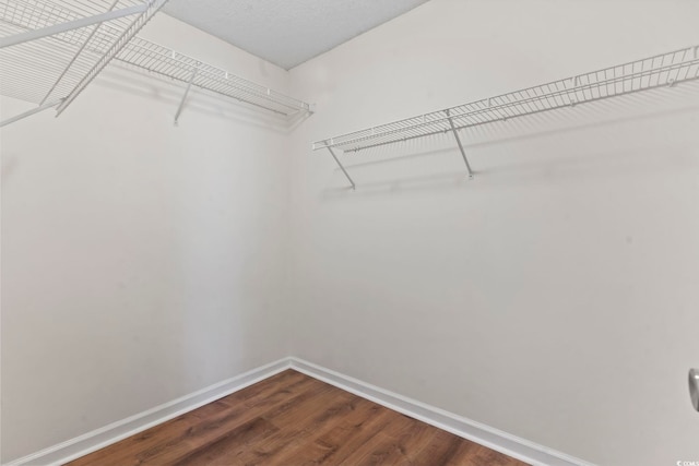 spacious closet featuring dark wood-style flooring