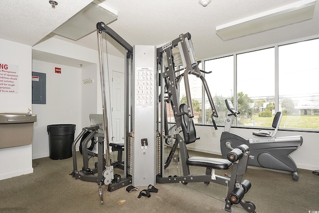 exercise room featuring a textured ceiling, electric panel, and baseboards