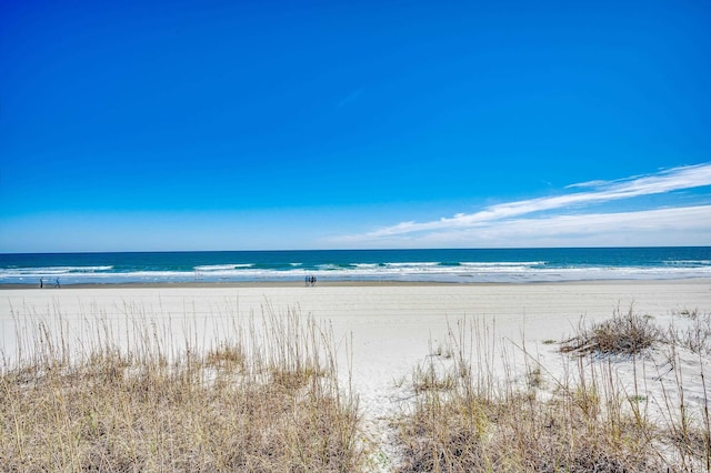 water view featuring a beach view