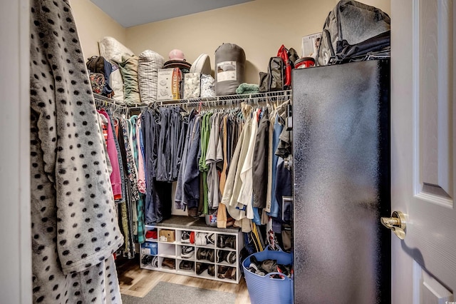 walk in closet featuring wood finished floors