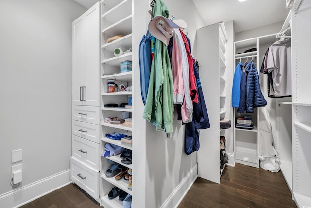 walk in closet with dark wood finished floors