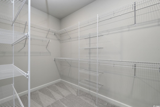 4036 Bucolic Loop, Myrtle Beach, SC 29588 - spacious closet featuring carpet flooring