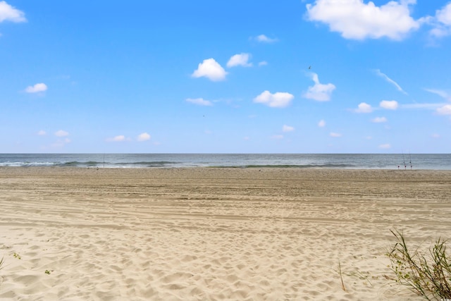 water view featuring a beach view