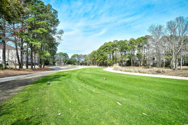 view of home's community featuring a yard