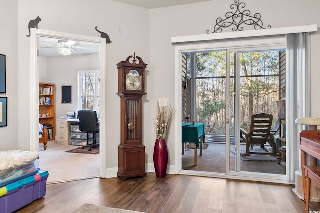 entryway featuring wood finished floors and baseboards