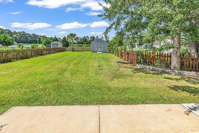 206 Balsa Dr, Longs, SC 29568 - fenced backyard with a storage unit
