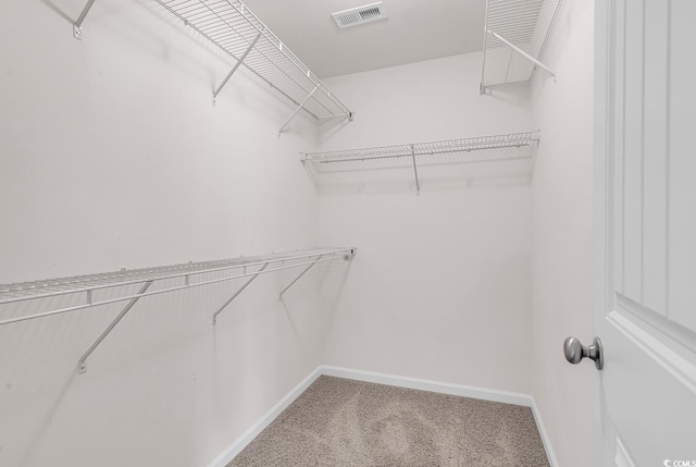 206 Balsa Dr, Longs, SC 29568 - walk in closet with carpet