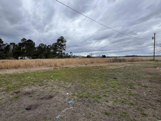 view of yard with a rural view