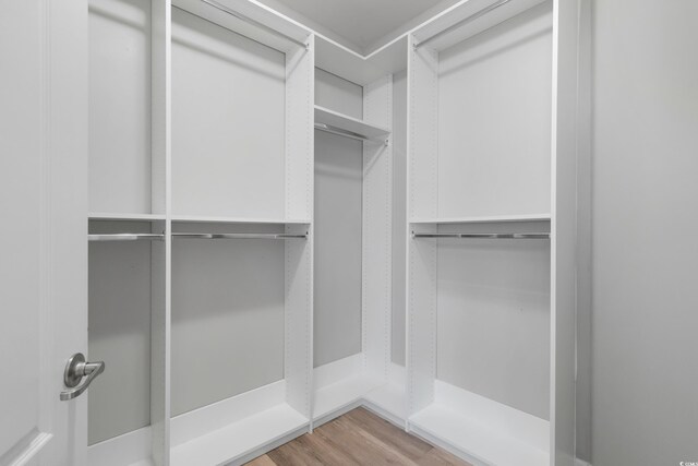 walk in closet with light wood-type flooring