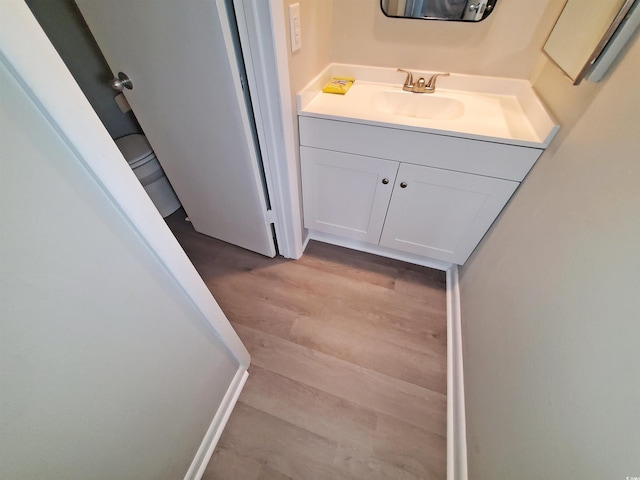 bathroom featuring wood finished floors and vanity