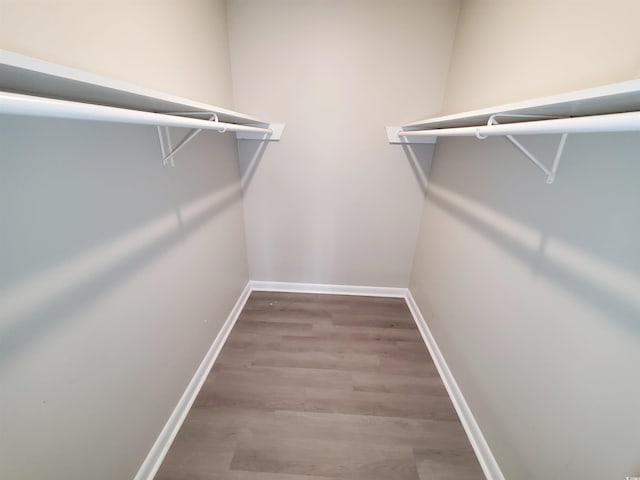 walk in closet with wood finished floors