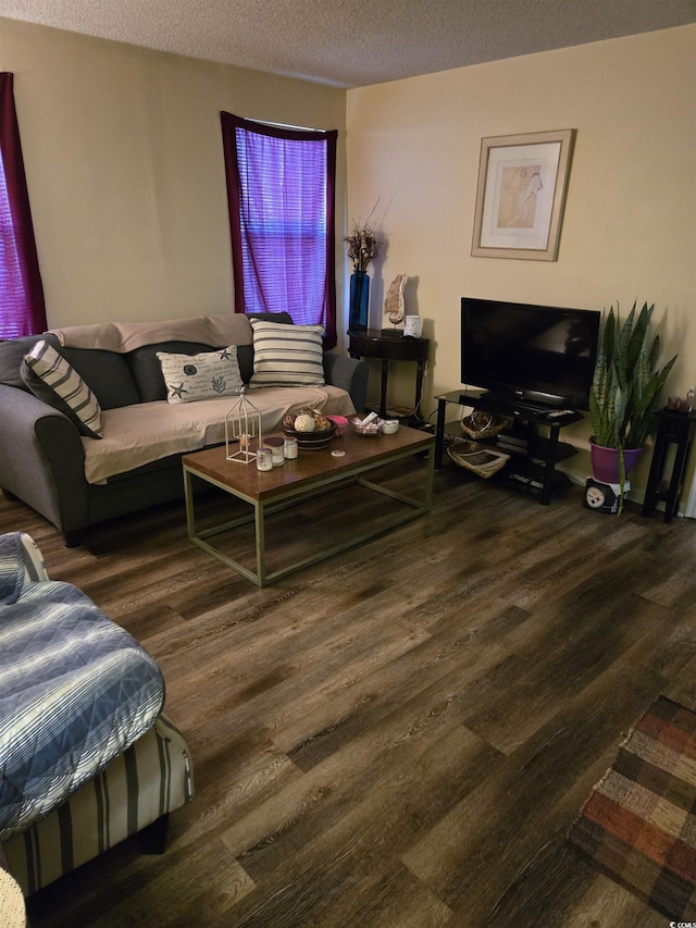 living room featuring a textured ceiling and wood finished floors