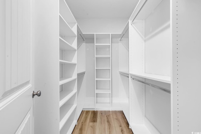 walk in closet featuring light wood-style flooring