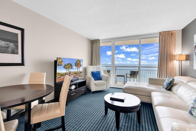 carpeted living area featuring a textured ceiling and floor to ceiling windows