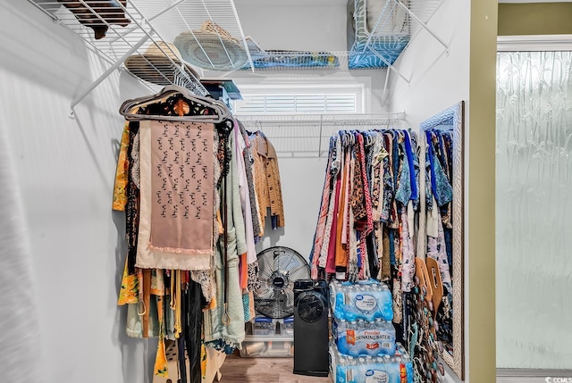 walk in closet featuring wood finished floors