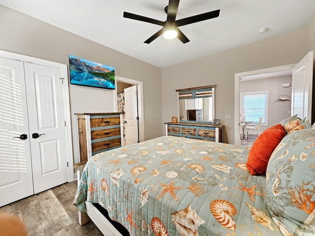 bedroom with a closet, ceiling fan, and wood finished floors