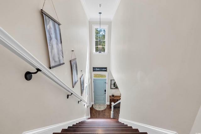 stairs with baseboards, wood finished floors, and crown molding