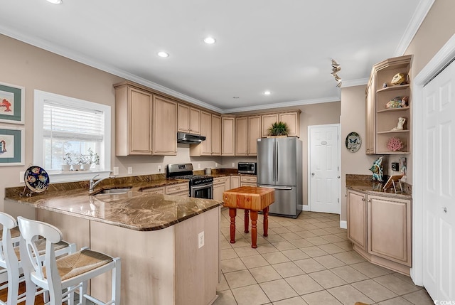 kitchen featuring a peninsula, crown molding, appliances with stainless steel finishes, and a sink