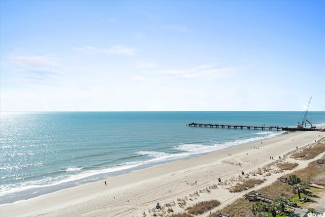 view of water feature featuring a view of the beach