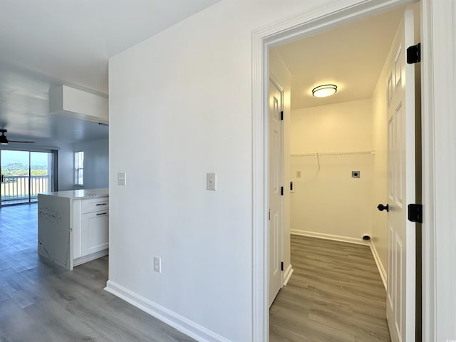 5000 Windsor Green Way Unit 204, Myrtle Beach, SC 29579 - clothes washing area featuring light wood-style floors, baseboards, and a ceiling fan
