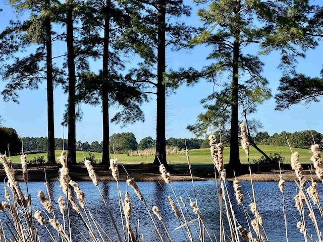 5000 Windsor Green Way Unit 204, Myrtle Beach, SC 29579 - water view