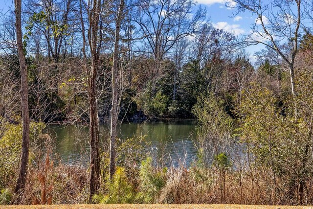 property view of water with a view of trees